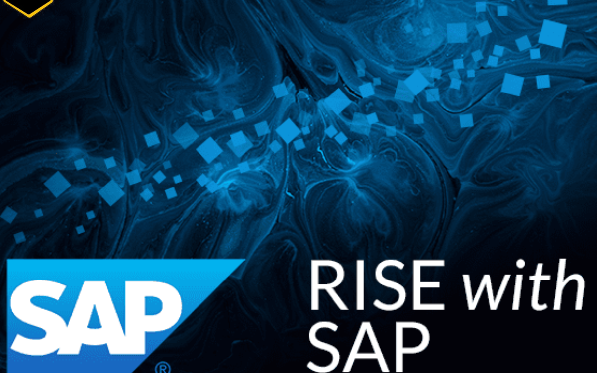 What is RISE with SAP? What is RISE with SAP?